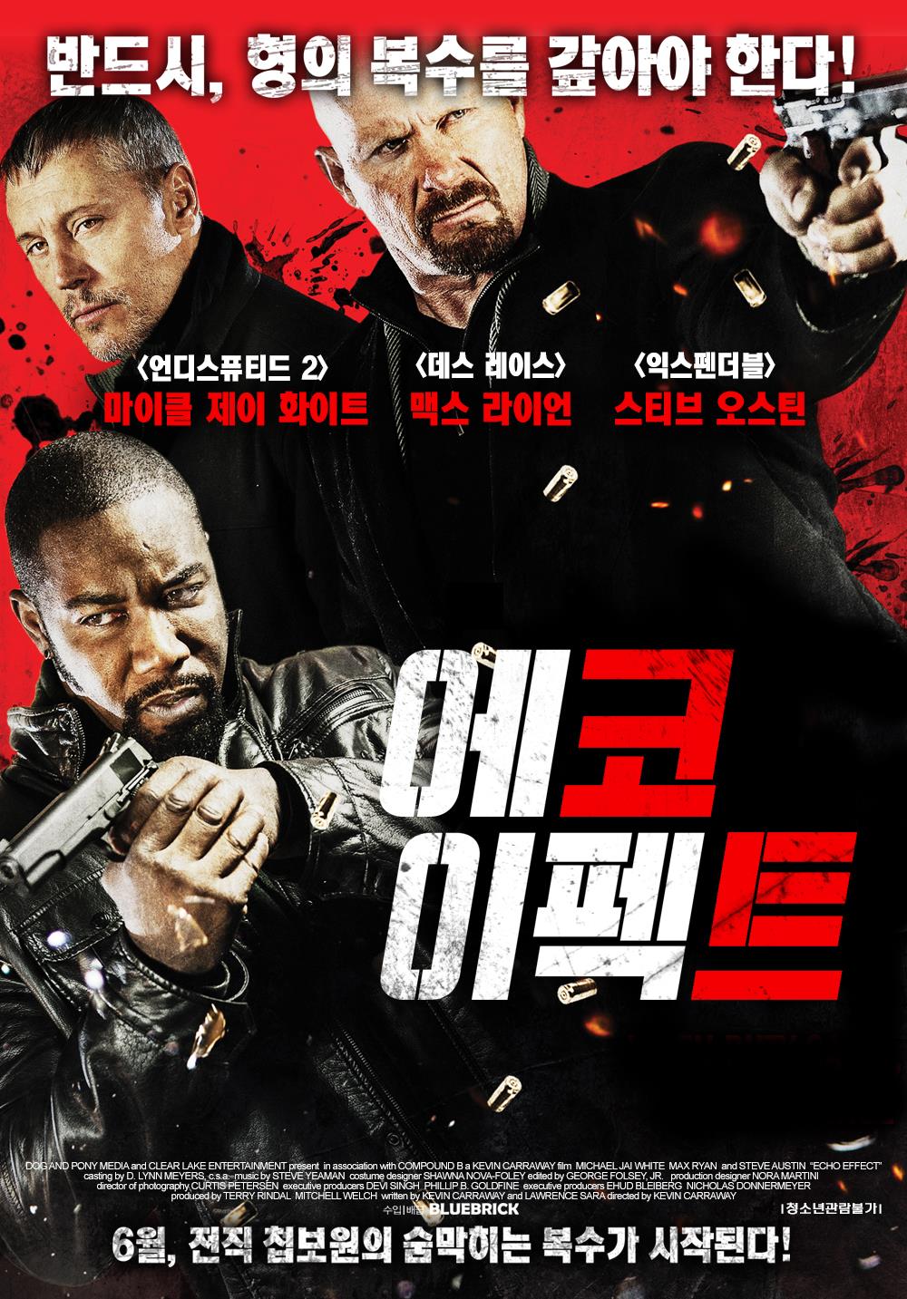 에코 이펙트(등급고지)